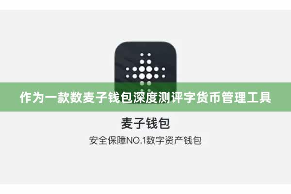 作为一款数麦子钱包深度测评字货币管理工具