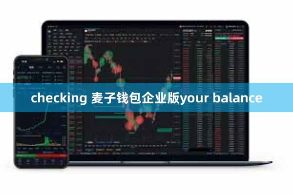checking 麦子钱包企业版your balance