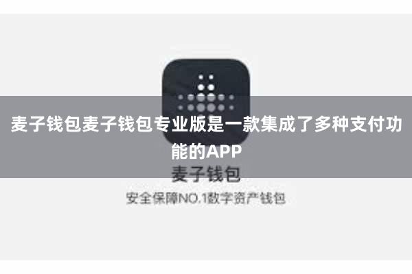 麦子钱包麦子钱包专业版是一款集成了多种支付功能的APP