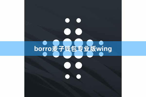 borro麦子钱包专业版wing