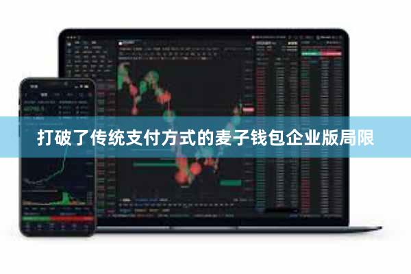 打破了传统支付方式的麦子钱包企业版局限