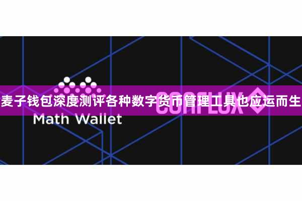 麦子钱包深度测评各种数字货币管理工具也应运而生