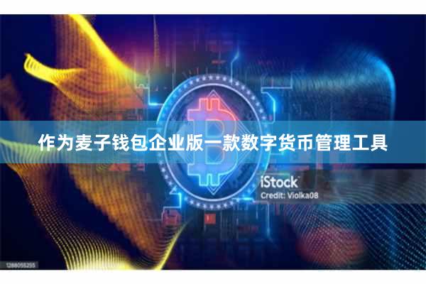 作为麦子钱包企业版一款数字货币管理工具