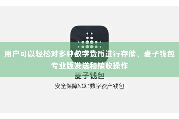 用户可以轻松对多种数字货币进行存储、麦子钱包专业版发送和接收操作