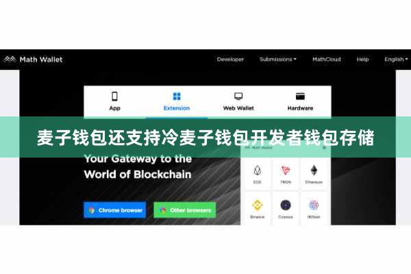 麦子钱包还支持冷麦子钱包开发者钱包存储