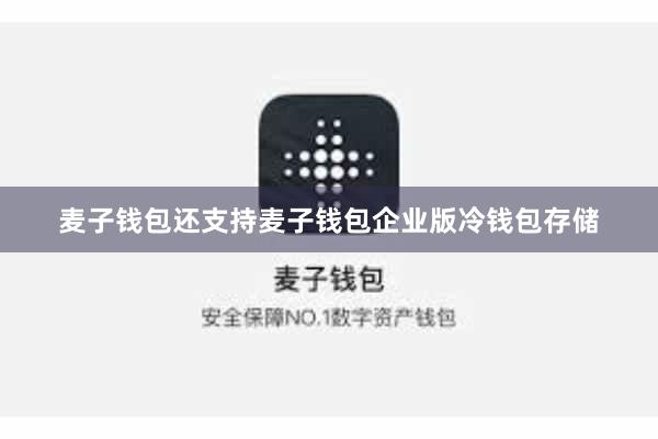 麦子钱包还支持麦子钱包企业版冷钱包存储
