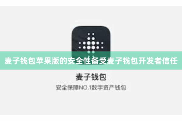 麦子钱包苹果版的安全性备受麦子钱包开发者信任
