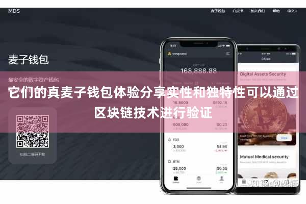 它们的真麦子钱包体验分享实性和独特性可以通过区块链技术进行验证