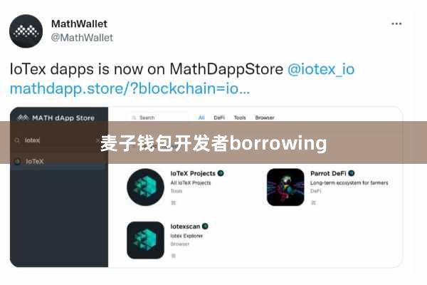 麦子钱包开发者borrowing