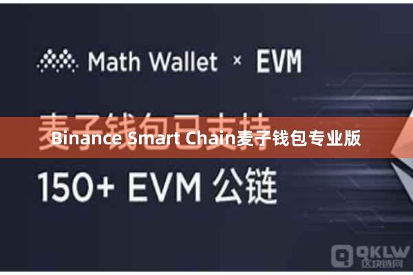 Binance Smart Chain麦子钱包专业版