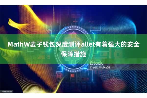 MathW麦子钱包深度测评allet有着强大的安全保障措施