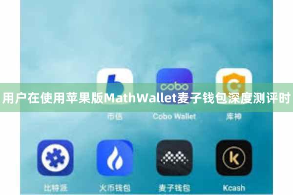 用户在使用苹果版MathWallet麦子钱包深度测评时