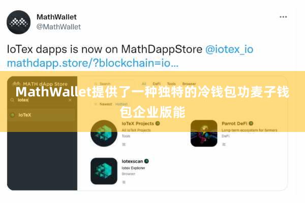 MathWallet提供了一种独特的冷钱包功麦子钱包企业版能