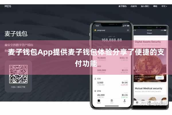 麦子钱包App提供麦子钱包体验分享了便捷的支付功能