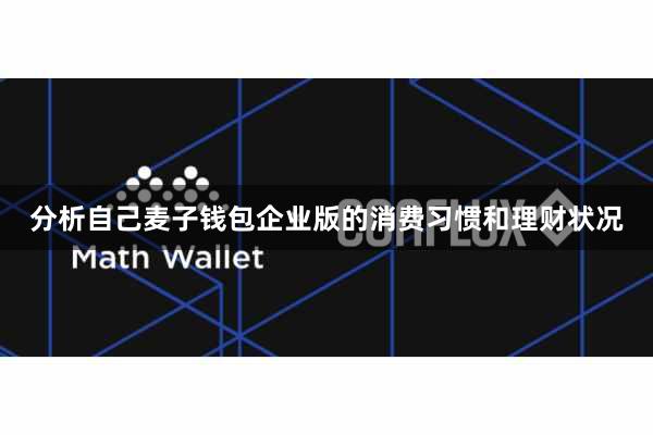 分析自己麦子钱包企业版的消费习惯和理财状况
