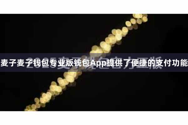 麦子麦子钱包专业版钱包App提供了便捷的支付功能