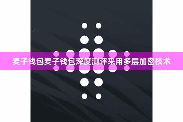 麦子钱包麦子钱包深度测评采用多层加密技术