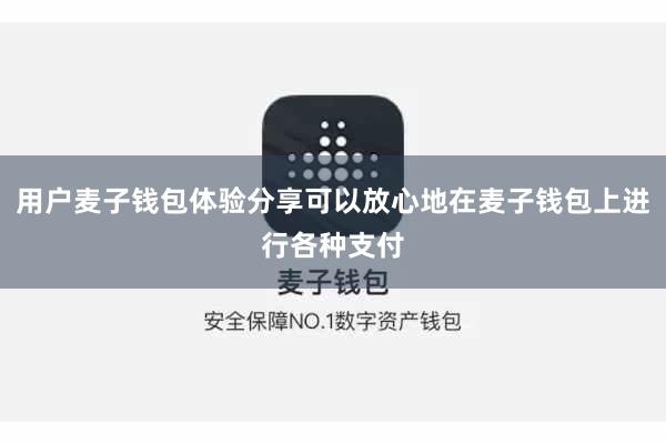 用户麦子钱包体验分享可以放心地在麦子钱包上进行各种支付
