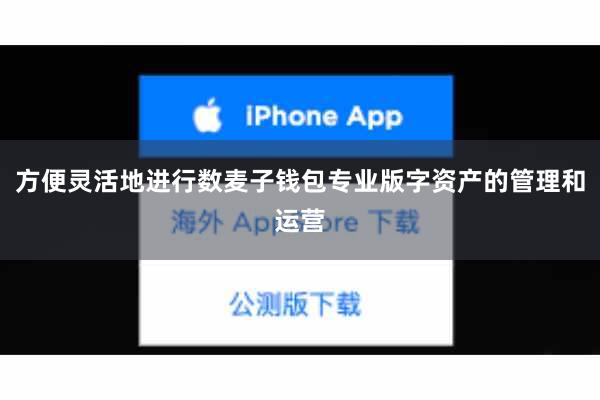 方便灵活地进行数麦子钱包专业版字资产的管理和运营