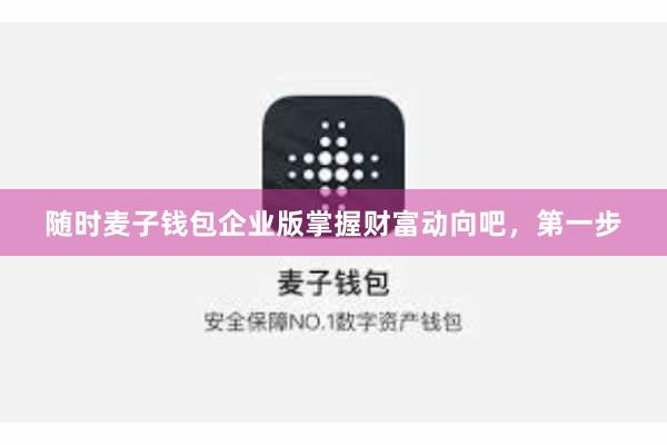 随时麦子钱包企业版掌握财富动向吧，第一步