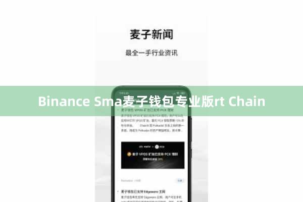 Binance Sma麦子钱包专业版rt Chain