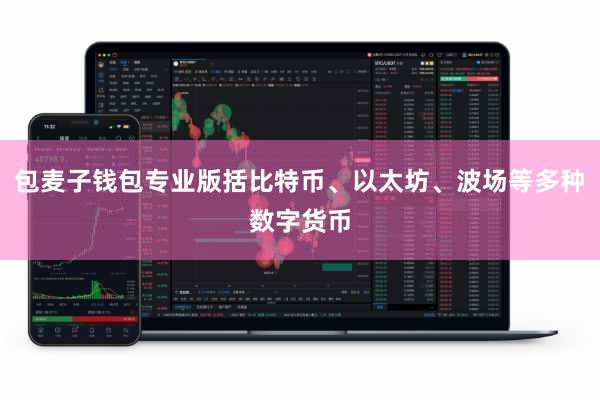 包麦子钱包专业版括比特币、以太坊、波场等多种数字货币