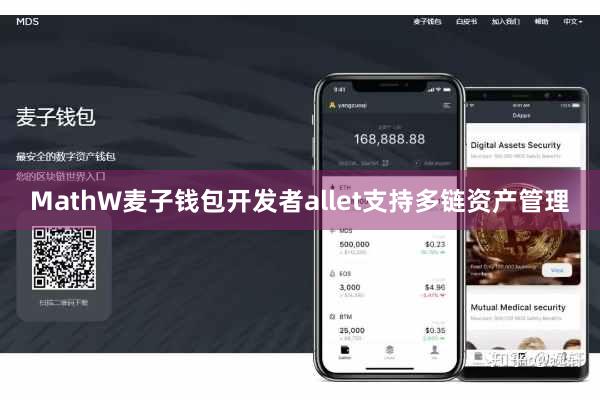 MathW麦子钱包开发者allet支持多链资产管理