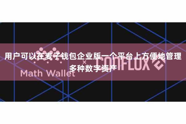 用户可以在麦子钱包企业版一个平台上方便地管理多种数字资产